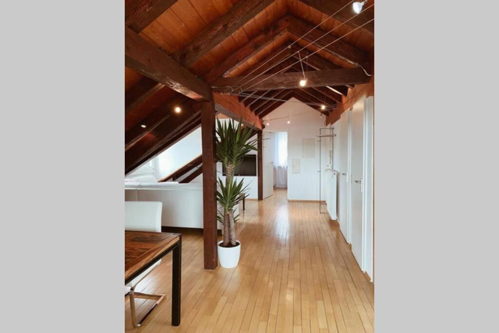Ferienwohnung *Dreiländereck* Wifi+ Balkon+Garage Basel Mulhouse Maulburg Exterior foto
