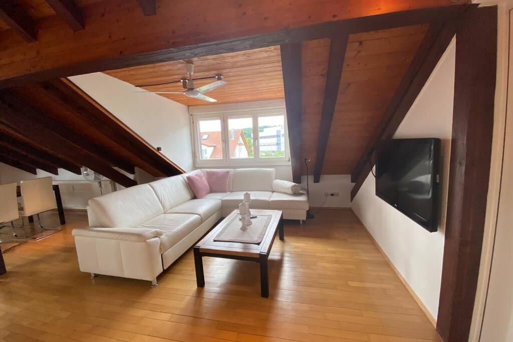 Ferienwohnung *Dreiländereck* Wifi+ Balkon+Garage Basel Mulhouse Maulburg Exterior foto
